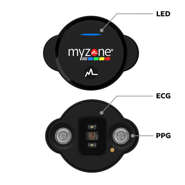 myzone 2 image